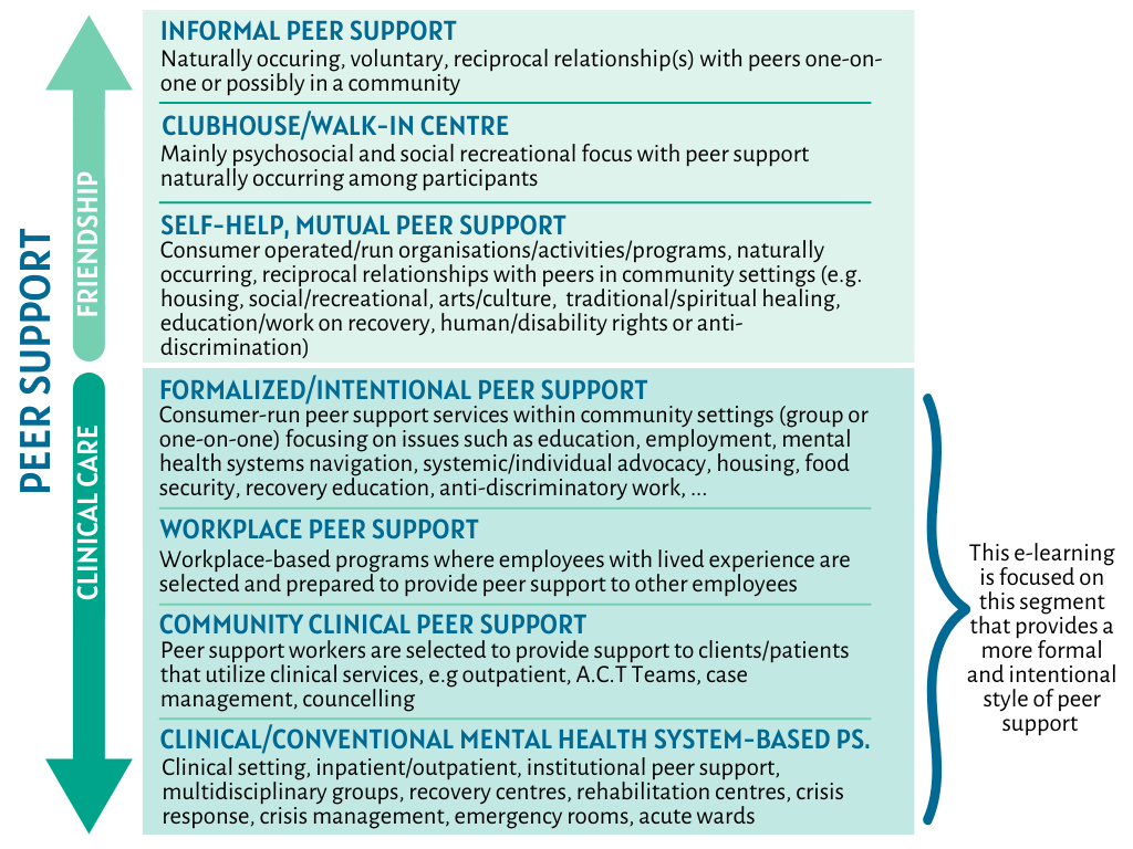 1 What Is Peer Support Peer Support 